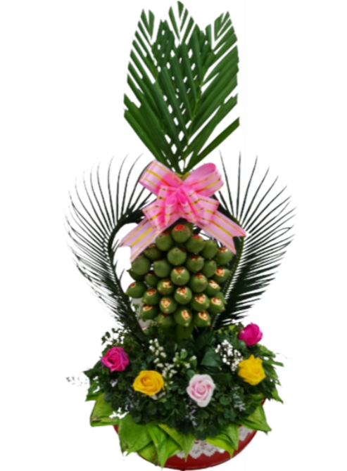 Combo 4-Miễn Phí Vận Chuyển